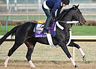Dirt Mile Favorite? Morning Line, Who Else Dirt Mile Favorite? Morning Line, Who Else