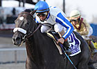 Lane's End, Dixiana Purchase Morning Line Lane's End, Dixiana Purchase Morning Line