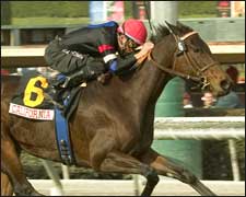 Moscow Burning Gets Hot in Millions F&M Turf Moscow Burning Gets Hot in Millions F&M Turf