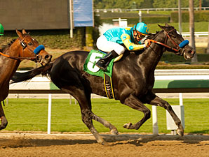 Baffert Trio Formidable in Las Flores Baffert Trio Formidable in Las Flores