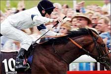 Lameness Knocks Euro Star Motivator Out of Breeders' Cup Turf Lameness Knocks Euro Star Motivator Out of Breeders' Cup Turf