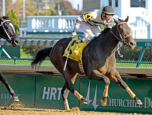 Motor City Moves 5 Furlongs at Palm Meadows Motor City Moves 5 Furlongs at Palm Meadows