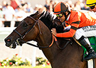 Moulin de Mougin Makes Right Move in Mabee Moulin de Mougin Makes Right Move in Mabee
