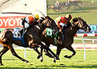 Moulin de Mougin to Miss BC With Bone Bruises Moulin de Mougin to Miss BC With Bone Bruises