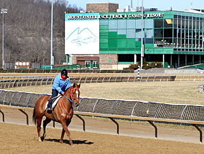 Live Racing Returns to Mountaineer Friday Live Racing Returns to Mountaineer Friday