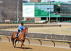 Wagering, Purses Up at Mountaineer Meet Wagering, Purses Up at Mountaineer Meet