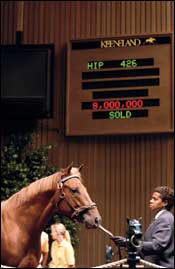 Mr. Sekiguchi, Worth $8M as a Yearling, Retires to Hill 'n' Dale Mr. Sekiguchi, Worth $8M as a Yearling, Retires to Hill 'n' Dale