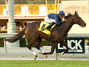 Smith Guides Mr. Commons to Sir Beaufort Win Smith Guides Mr. Commons to Sir Beaufort Win