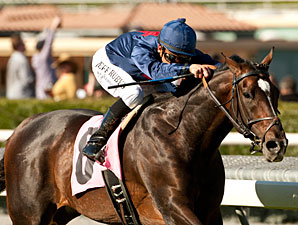 Mr. Commons Faces Tough Field In Jaipur Mr. Commons Faces Tough Field In Jaipur