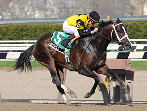 Mr. Fantasy Sharp in Withers Score Mr. Fantasy Sharp in Withers Score