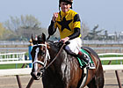 Mr. Fantasy to Run in Met Mile