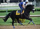 Mr. Hot Stuff Breezes; Lukas Undecided
