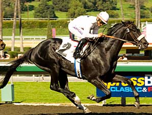 Mr. Hot Stuff Preps for Kentucky Derby Mr. Hot Stuff Preps for Kentucky Derby