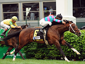 Mr. Nightlinger Wires Aegon Turf Sprint Mr. Nightlinger Wires Aegon Turf Sprint