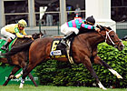 Mr. Nightlinger Wires Aegon Turf Sprint Mr. Nightlinger Wires Aegon Turf Sprint