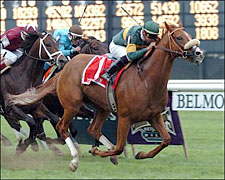 Plenty of Room for Mr O'Brien's Kick in Kelso Plenty of Room for Mr O'Brien's Kick in Kelso