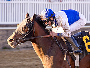 Mr Palmer Seals Deal in Private Terms Stakes Mr Palmer Seals Deal in Private Terms Stakes