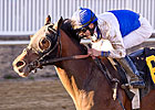 Mr Palmer Seals Deal in Private Terms Stakes Mr Palmer Seals Deal in Private Terms Stakes