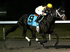 Mr. Prankster Gets First Stakes Win in Prevue Mr. Prankster Gets First Stakes Win in Prevue