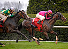Mr. Sidney Takes Maker's Mark Mile