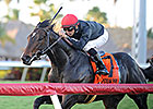 Mr Speaker Seeks Belmont Derby Invitation Mr Speaker Seeks Belmont Derby Invitation