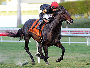Mr Speaker, Cairo Prince Post Holy Bull Works Mr Speaker, Cairo Prince Post Holy Bull Works