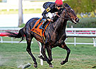 Mr Speaker, Cairo Prince Post Holy Bull Works Mr Speaker, Cairo Prince Post Holy Bull Works