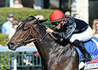 Mr Speaker Takes Down Coolmore Lexington Mr Speaker Takes Down Coolmore Lexington