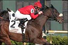 Favorites Rule On Louisiana Champions Day Favorites Rule On Louisiana Champions Day