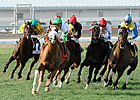 Bradley Handicap: Mr. Vegas Cashes In Bradley Handicap: Mr. Vegas Cashes In