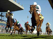 Mrs. Lindsay Makes Herself at Home in E.P. Taylor Stakes Mrs. Lindsay Makes Herself at Home in E.P. Taylor Stakes