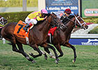 Mshawish Squeezes Out Gulfstream Turf 'Cap Mshawish Squeezes Out Gulfstream Turf 'Cap