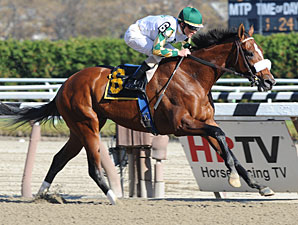 Mucho Macho Man Romps at Aqueduct in Return Mucho Macho Man Romps at Aqueduct in Return