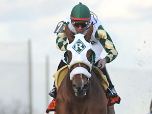 Mucho Macho Man Turns in Another Fast Drill Mucho Macho Man Turns in Another Fast Drill