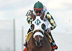 Mucho Macho Man Turns in Another Fast Drill