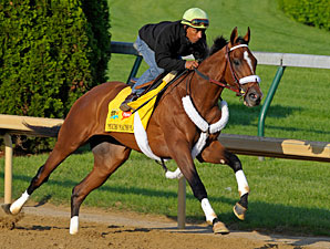 Solid Work for Mucho Macho Man Solid Work for Mucho Macho Man