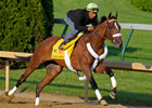 Solid Work for Mucho Macho Man 