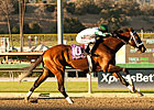 Mucho Macho Man Tops Busy Santa Anita Tab Mucho Macho Man Tops Busy Santa Anita Tab