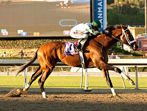 Awesome Again: Mucho Macho Man Flexes Muscles Awesome Again: Mucho Macho Man Flexes Muscles