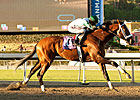 Awesome Again: Mucho Macho Man Flexes Muscles Awesome Again: Mucho Macho Man Flexes Muscles
