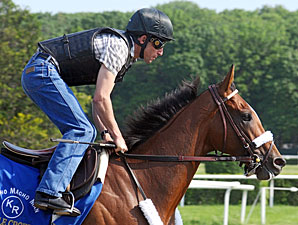 Back to Work for Mucho Macho Man Back to Work for Mucho Macho Man