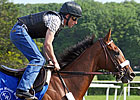 Back to Work for Mucho Macho Man Back to Work for Mucho Macho Man