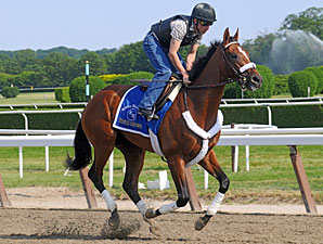 Mucho Macho Man: Blame Him on the Rios Mucho Macho Man: Blame Him on the Rios