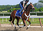 Mucho Macho Man: Blame Him on the Rios
