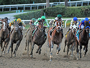 What was the Top Race of 2013? What was the Top Race of 2013?