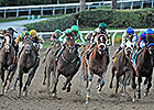 What was the Top Race of 2013? What was the Top Race of 2013?