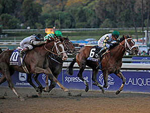 Mucho Macho Man Huge in 'Millions' Classic Mucho Macho Man Huge in 'Millions' Classic