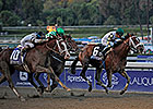 Mucho Macho Man Huge in 'Millions' Classic Mucho Macho Man Huge in 'Millions' Classic
