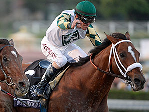 Mucho Macho Man Returns to Gulfstream Tab Mucho Macho Man Returns to Gulfstream Tab