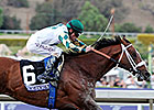 Adena Buys Interest in Mucho Macho Man Adena Buys Interest in Mucho Macho Man